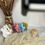 Miniature : Chouchou gaze de coton
