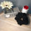Miniature : Chouchou Daim