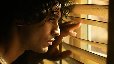 Blinds pic.png