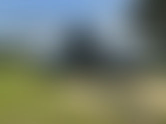 A helicopter