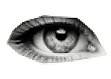Bethany Wolosky Cosmetic Tattooing Microblading