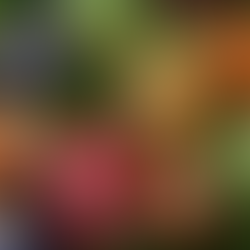 The Spring Threshold