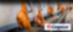 cargo-loc_banner_straps.jpg