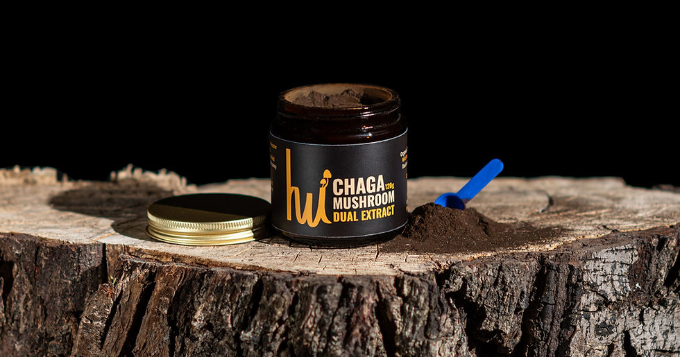 Chaga Mushroom - Dual-Extracted - Siberian - Wild Harvested - Powder