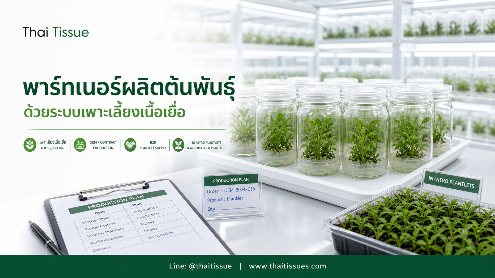 ภาพบริการเพาะเลี้ยงเนื้อเยื่อ OEM และผลิตต้นพันธุ์เชิงพาณิชย์ของ Thai Tissue