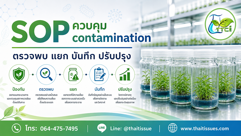 ติดเชื้อไม่ใช่เรื่องปล่อยผ่าน: SOP ควบคุมความเสี่ยงในแล็บเนื้อเยื่อ