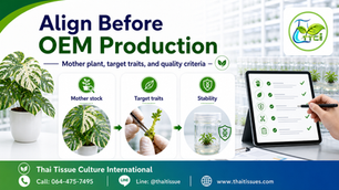 Before Production Starts, Align on the Mother Plant
