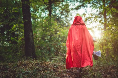 Roodkapje en de wolf: een sprookjesachtige dag voor Kleuters!