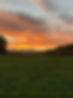 image00033.jpeg