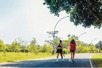 O VERDE QUE SUSTENTA A CIDADE