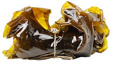 Kelp img.png