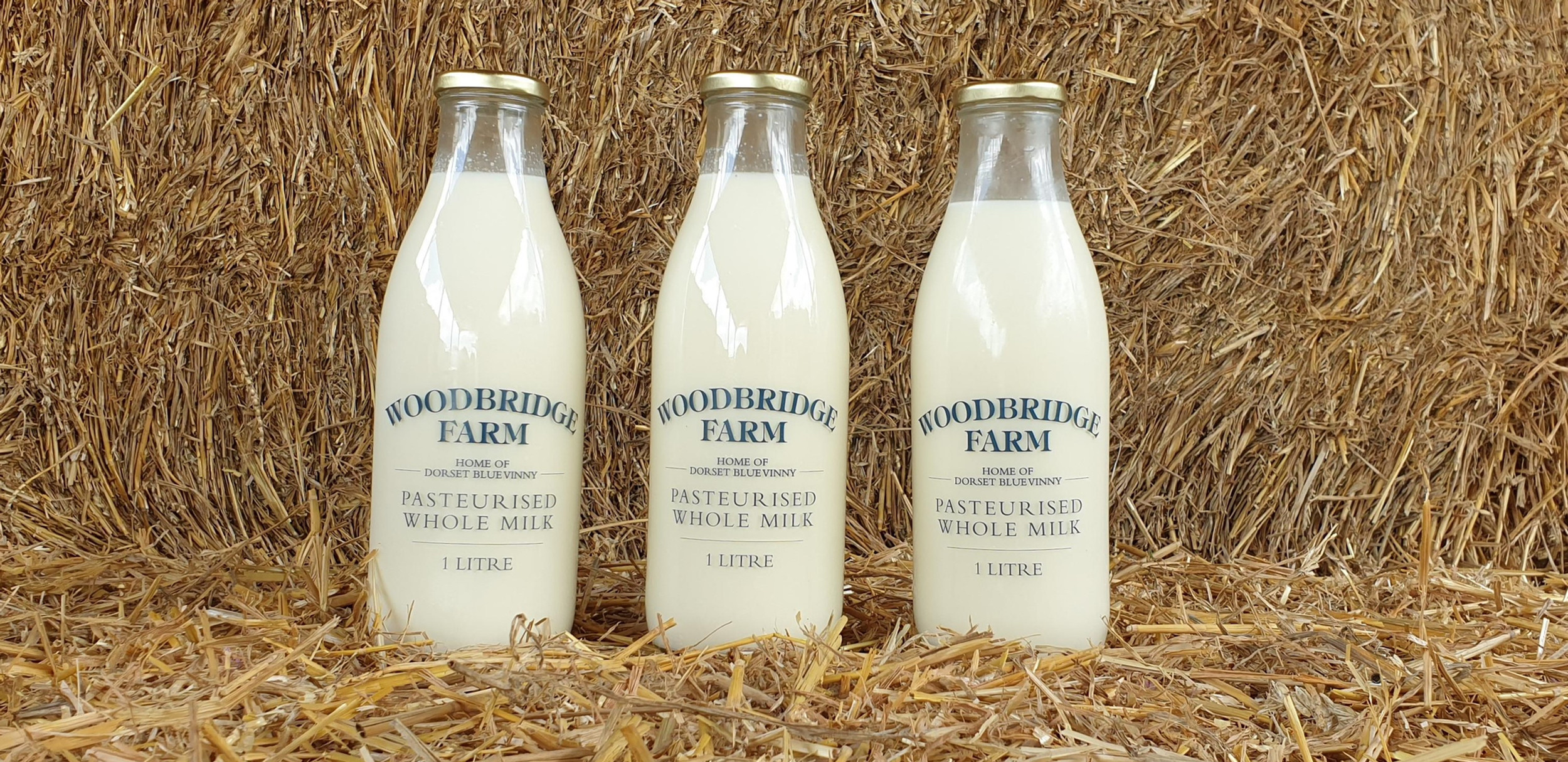 Fresh Milk | Dorset Blue Vinny | Sturminster Newton DT10 2BD