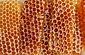 honeycomb-trtgtb4f7rhtuh6b.jpg