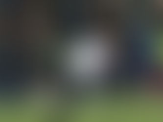 The Business Behind the Historic Rugby Rivalry Between the Springboks and New Zealand