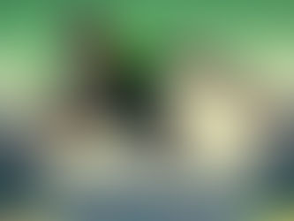 The Demand for South African Rugby Players With Japanese Rugby Clubs Since RWC 2019 Triumphant Effort