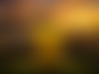 Bafana Bafana and the FIFA World Cup 2026: Why This Moment Means Everything for the Business of South African Football