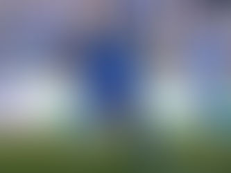 FC Machida Zelvia: A Detailed Journey of a Newly Promoted Club in J-1, The Ambition and Unexpected Dominance in Japanese Football