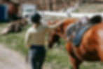 Tirana/Durrës: Fllakë Beach Escape and Optional Horse Ride