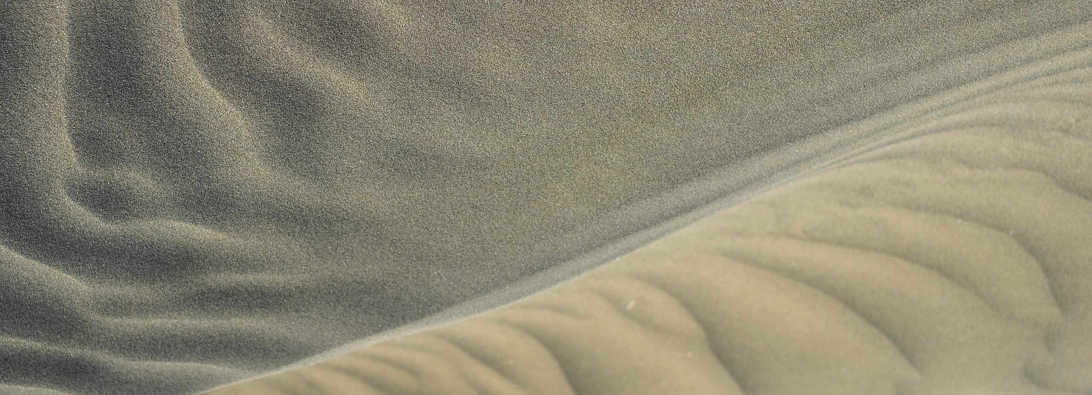 alina-tulum-p6xQ2ZnYK9Q-unsplash (1).jpg