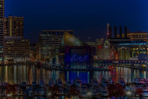 city view.jpeg