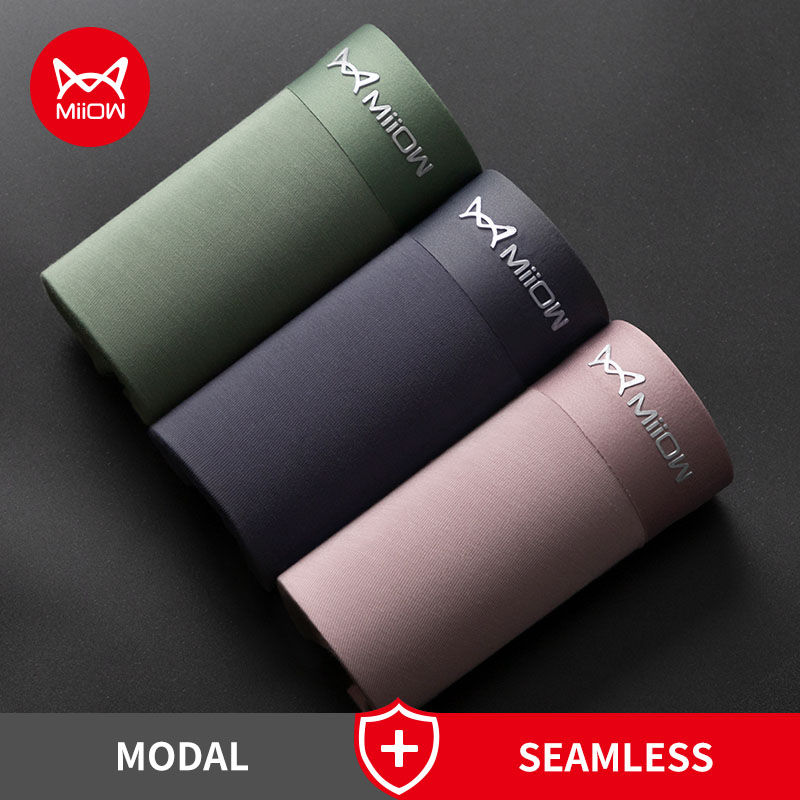 The Modal Brief — 3-Pack