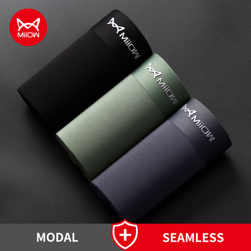 The Modal Brief — 3-Pack