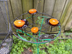 Candle Holder Turned Feeder