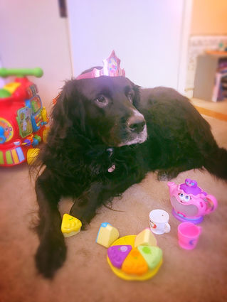 Just Another Girl Next Door