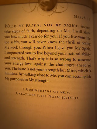 Puppy Love Perspective