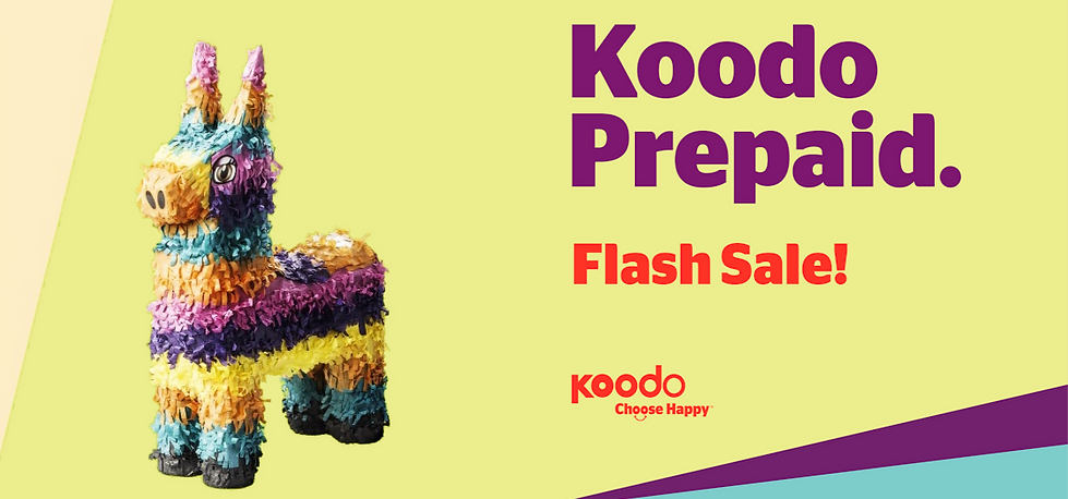 Flash sale Oct 24 banner_edited.png