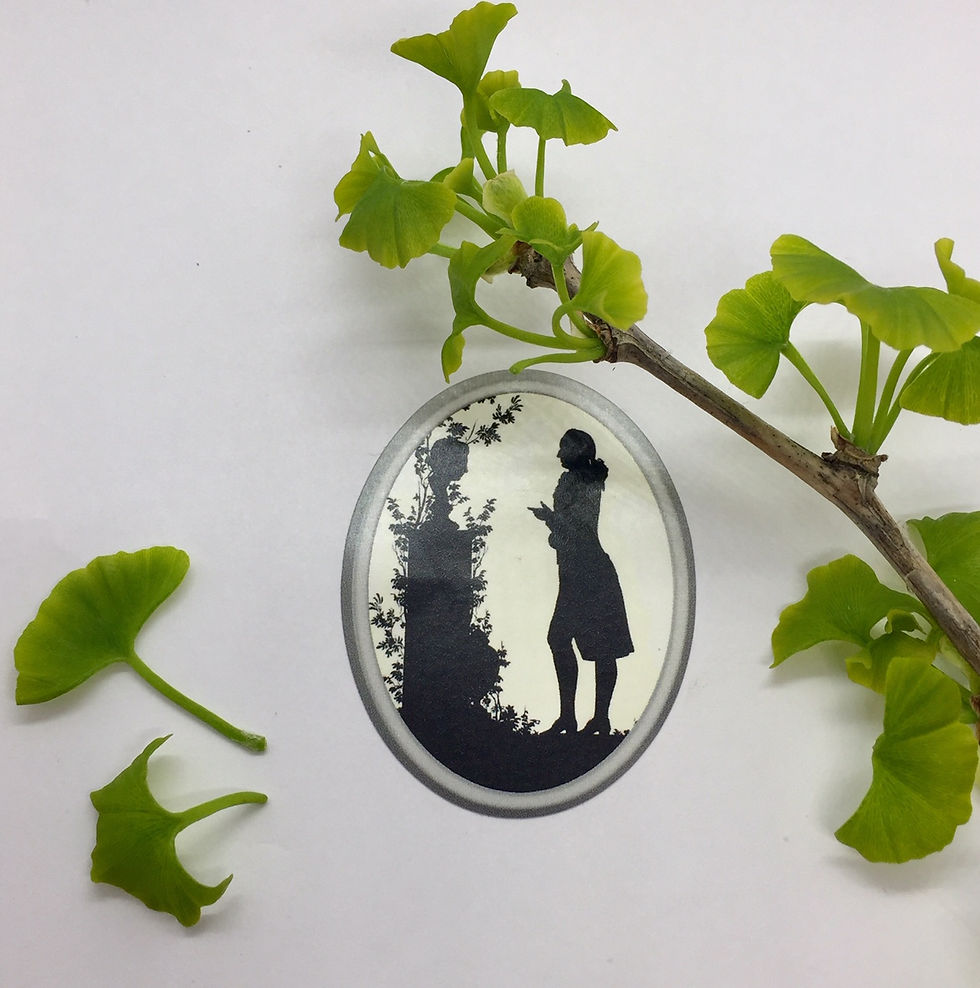 Miniaturbild: Anhänger "Ginkgo" an feiner Ankerkette in 935er Silber/ rhodiniert