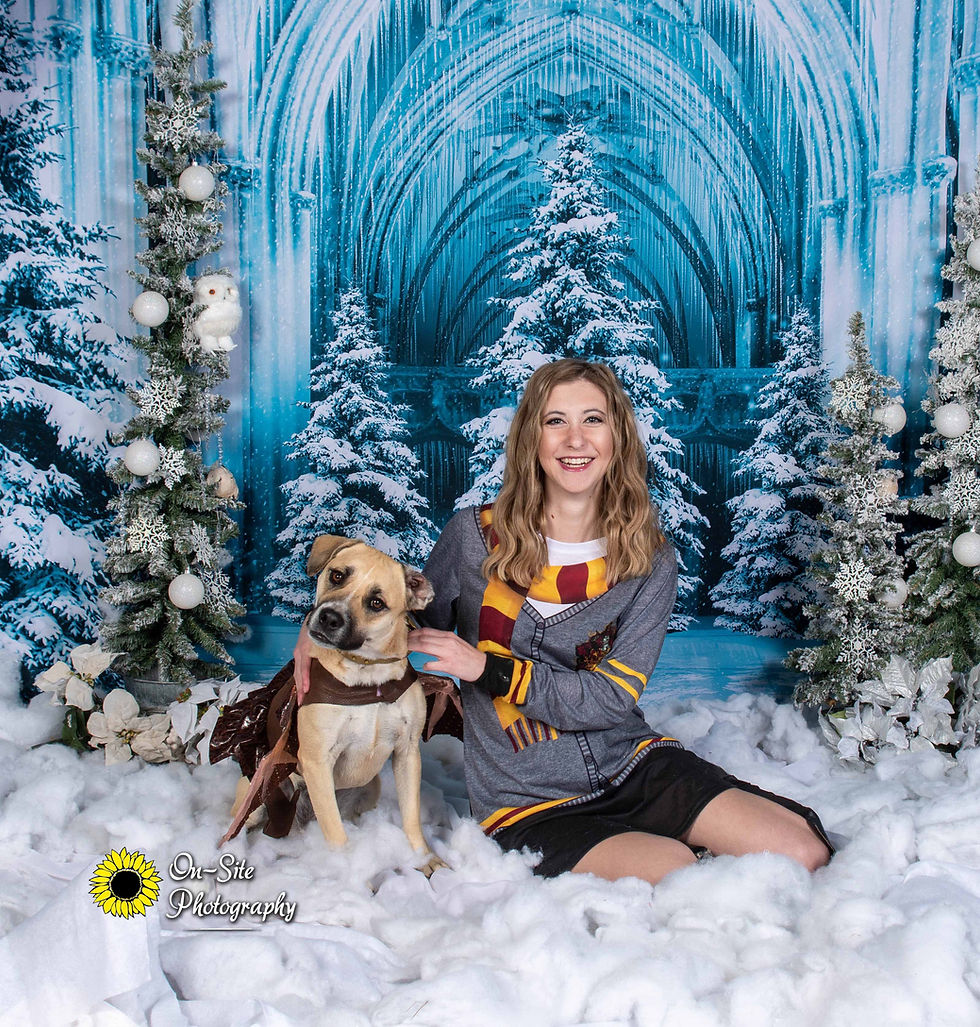 harry potter family photoshoot in ice crystal, holiday family photoshoot, on site photogra