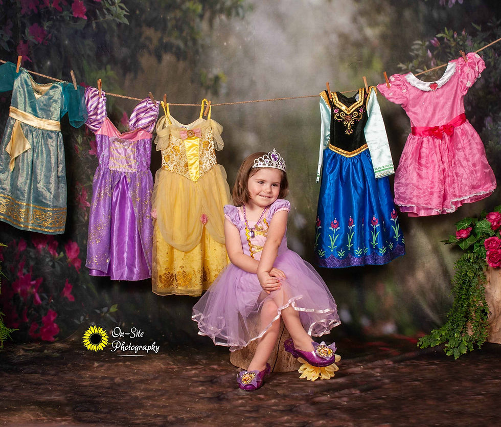 little girls princess photo sessions,princess dress photo session,childrens birthdays on