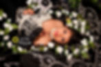 Quince Sweet 15 portraits Proffesional portraits Professional Photographer Proffessional Portraits O