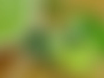 Efectul glucozinolatilor asupra inflamatiei intestinale