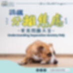 分離焦慮問題大全