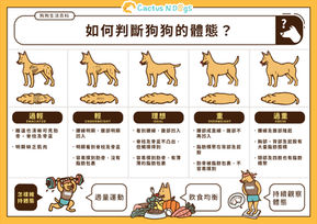 如何判斷狗狗的體態?