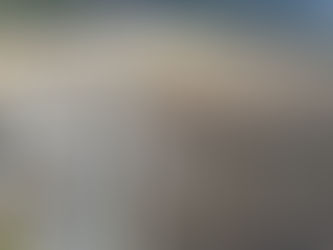 令和２年１２月末出来高