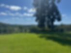 IMG_0678.jpeg