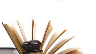 Os Limites Jurídicos do Projeto Parental no Brasil: Crítica Estrutural à Multiparentalidade