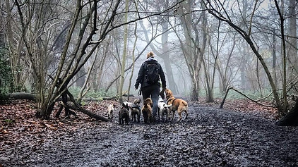 Dog Trainer London.jpg