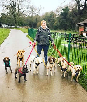 Dog Walker Greenwich.jpg