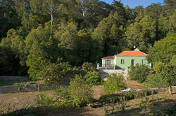 Rent a house Sintra