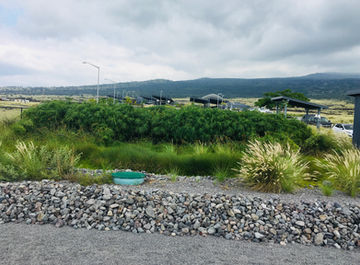 UH West Hawaii (Palamanui) Campus constructed wetland