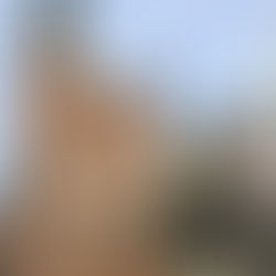 ¿QUÉ HACER EN GDANSK?