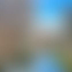 ¿QUÉ HACER EN ESTRASGURGO?