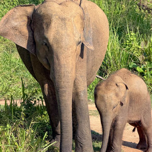 SIGIRIYA