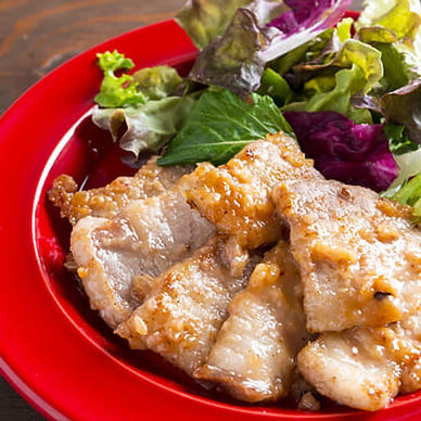 カステーリポーク丼