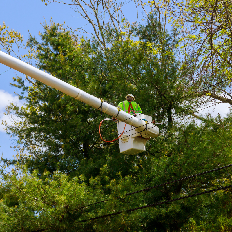 Untitled design (10).png