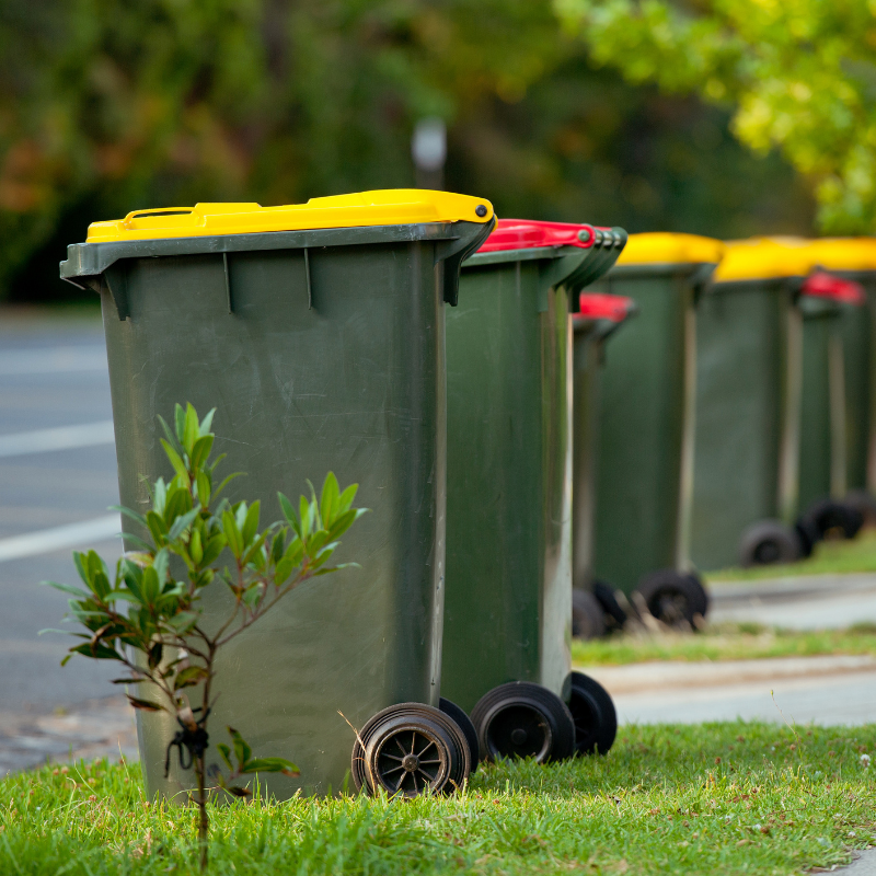 Untitled design (17).png